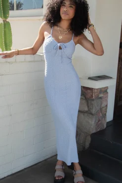 Eyelet Stretch Lace Maxi Dress