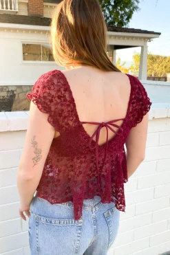 Sheer Lace Butterfly Top