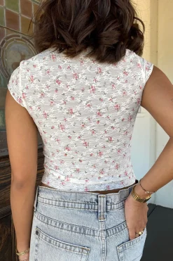 Short Sleeve Stretch Lace Top